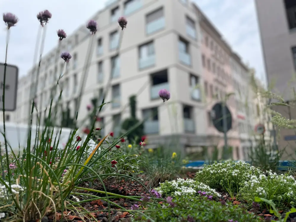 VELODEPO Biodiversitätsdach